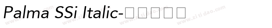 Palma SSi Italic字体转换